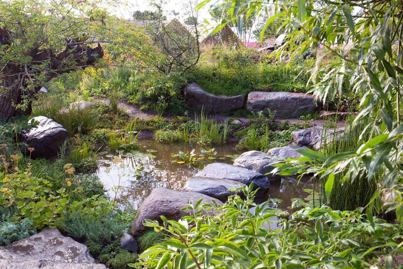 Large boulder stepping stones over naturalistic pond planted with wildlife friendly aquatic water plants for BBC Countryfile