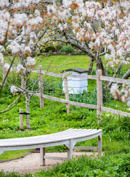 Bee Hive and Amelanchiers