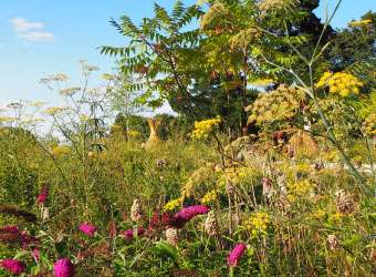 Autumn Wisley Wildlife Garden