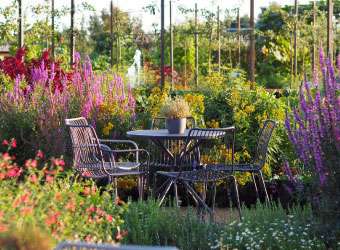 Cafe garden RHS Wisley