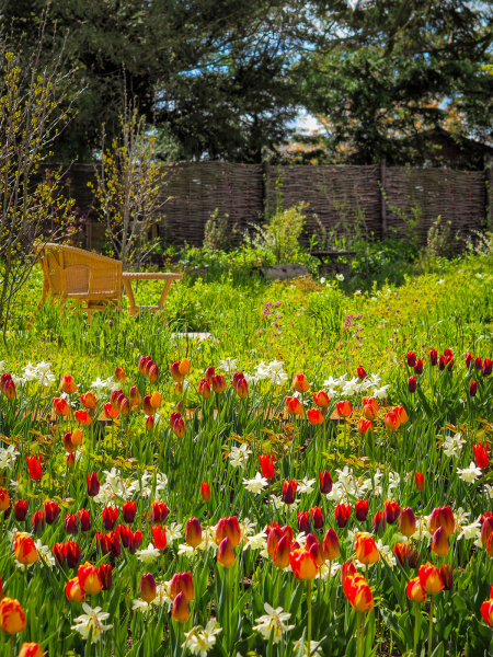 Country-Cottage-Garden-02