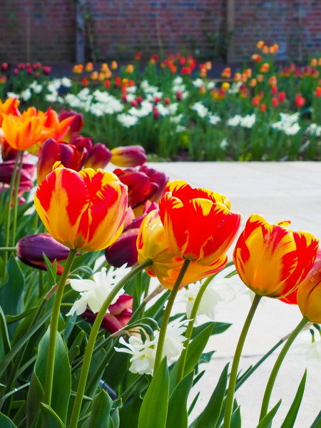 Country-Cottage-Garden-09