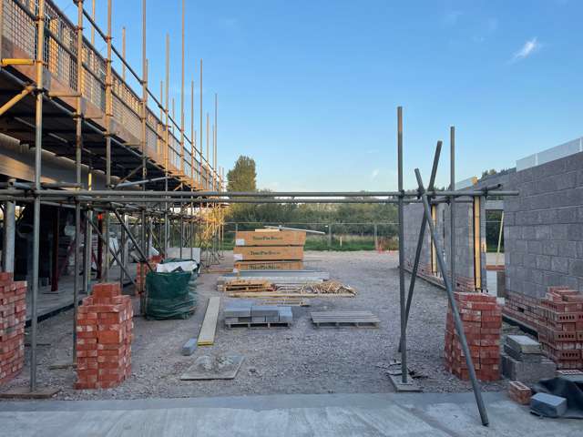 Contemporary Courtyard Before designed by Ann-Marie Powell Gardens