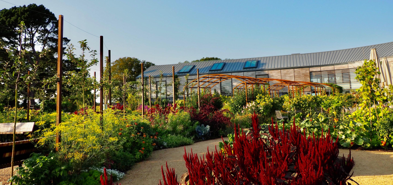 Overview of vegetable garden and arches
