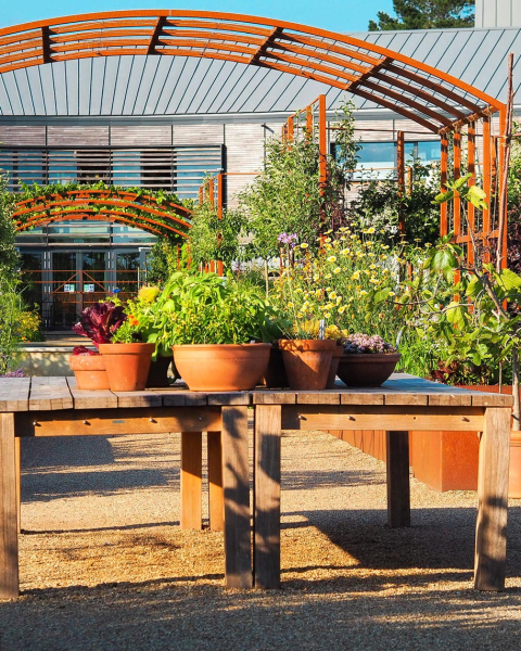 Potting table with herb pots