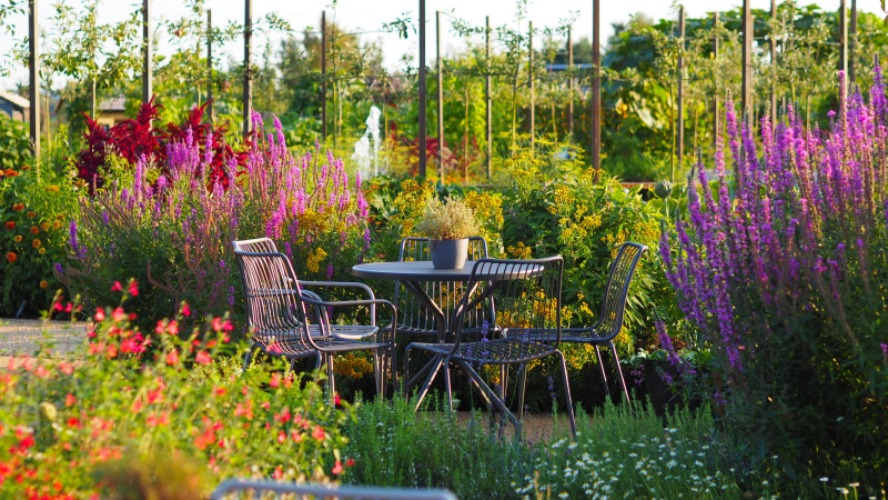 Coffee table hidden within edible and colourful flower borders