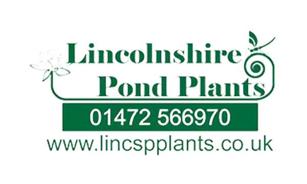Lincolnshire Pond Plants will be supplying all the aquatic plants for the Octavia Hill Garden