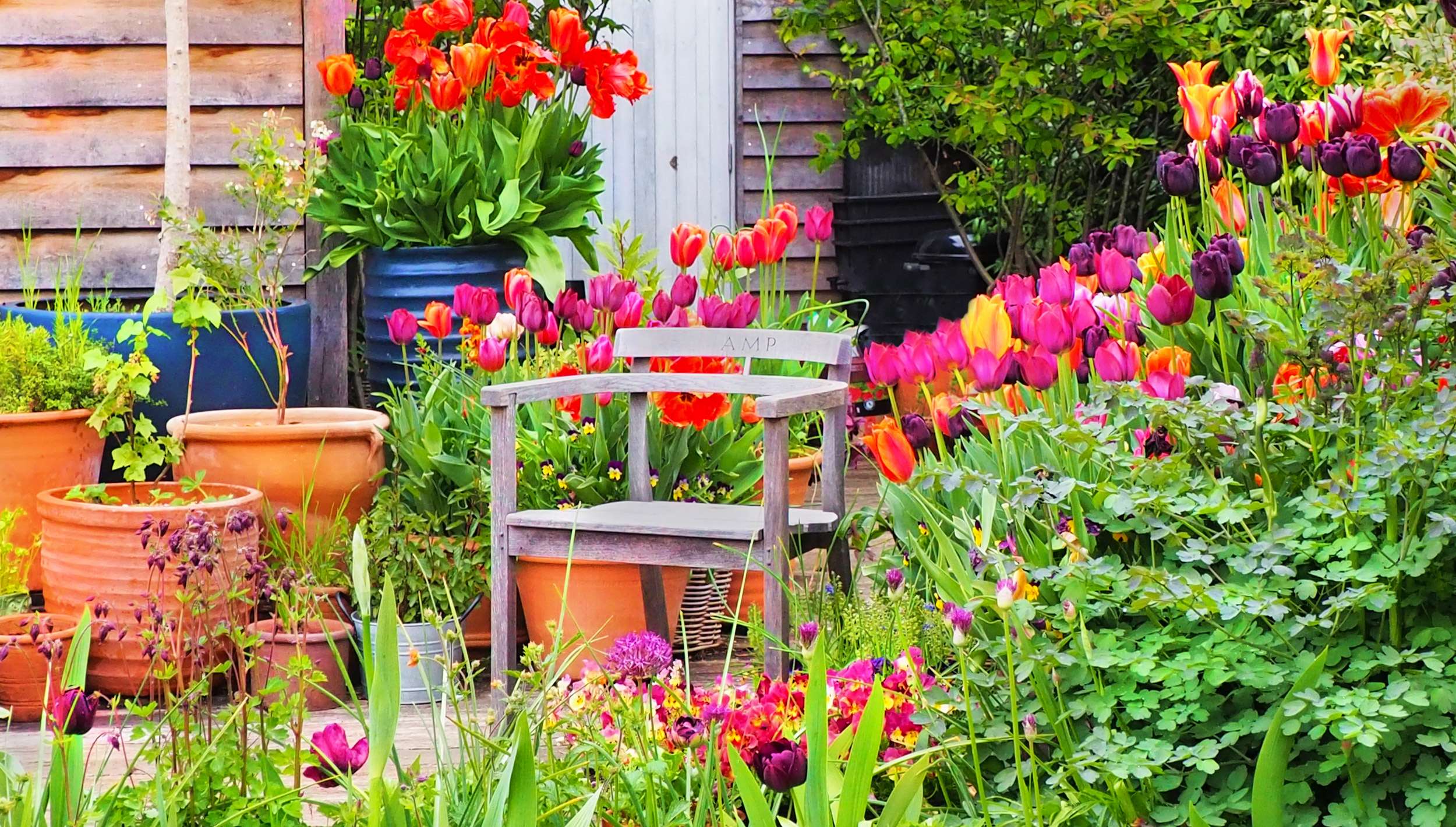 A Gaze Burvill wooden chair sitting in Ann-Marie Powell's back Garden in garden design in Hampshire
