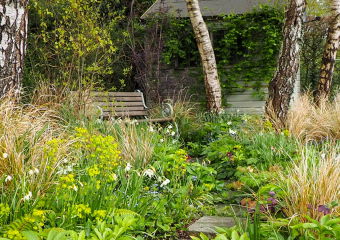 Shaded sitting area, biodiverse woodland, colourful flowers designed by Ann- Marie Powell, UK 2024