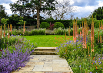 Bright, bold, colourful garden design by Ann-Marie Powell, UK 2024