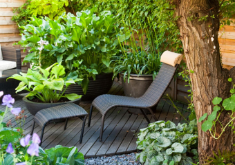 Lounge area in a small garden, surrounded by beautiful plants in pots designed by Ann- Marie Powell, July , UK 2009